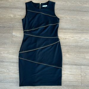 Calvin Klein Zipper Dress